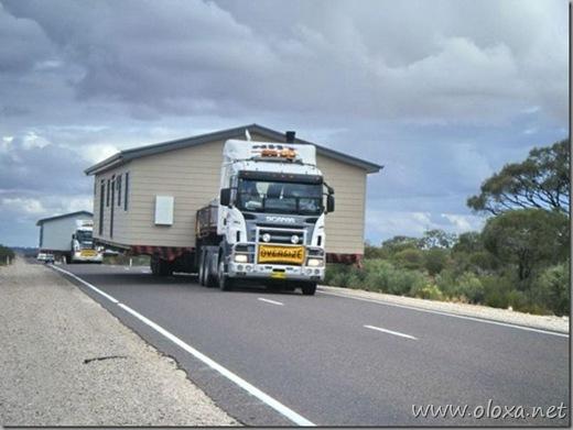 Transportes imensos (24)