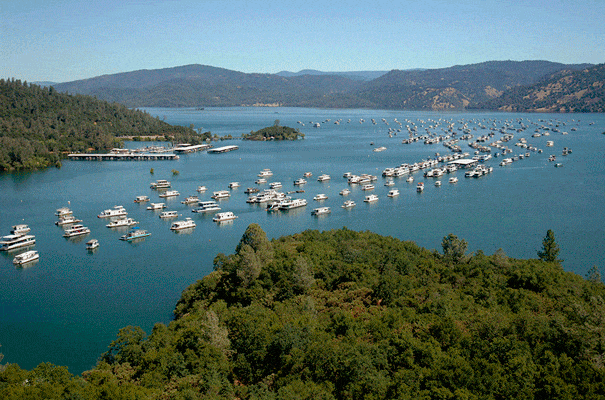 Você sabe para que serve essas bolas plásticas na água