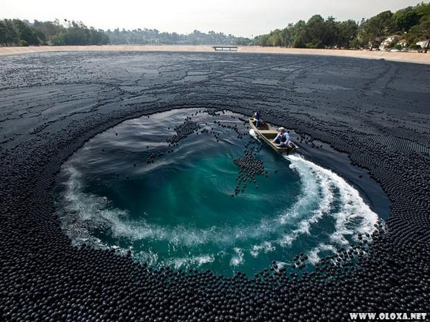 Você sabe para que serve essas bolas plásticas na água