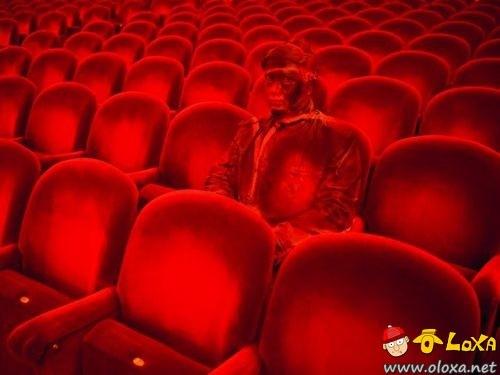 a-camouflage-art-liu-bolin-10