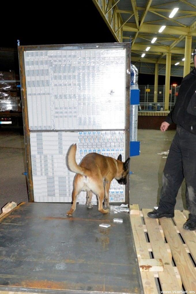 apreensao de cigarros na russia 16