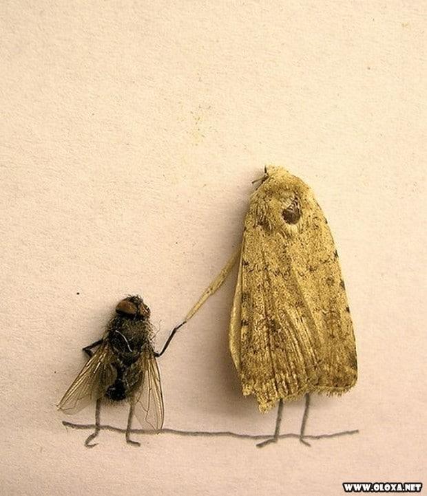 arte com moscas mortas 12