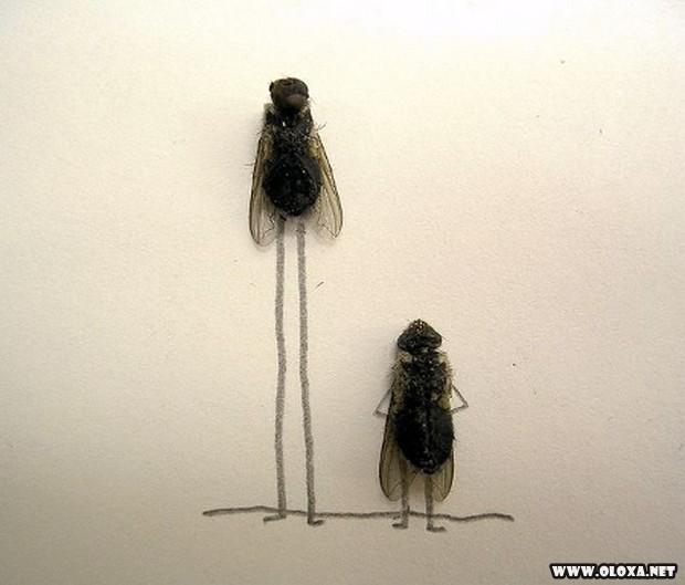 arte com moscas mortas 13