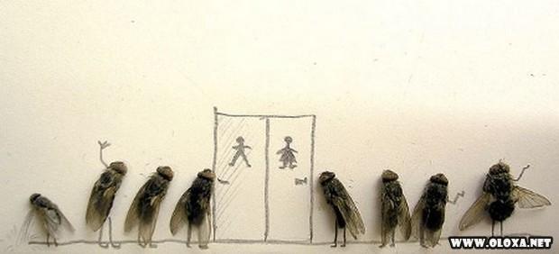 arte com moscas mortas 6