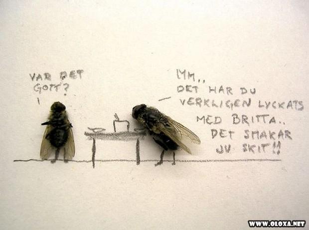 arte com moscas mortas 7