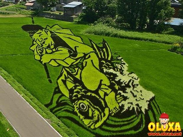 arte em plantação de arroz
