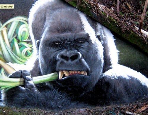 arte nas ruas com grafite (3)