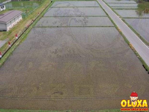arte no arroz no japao (1)