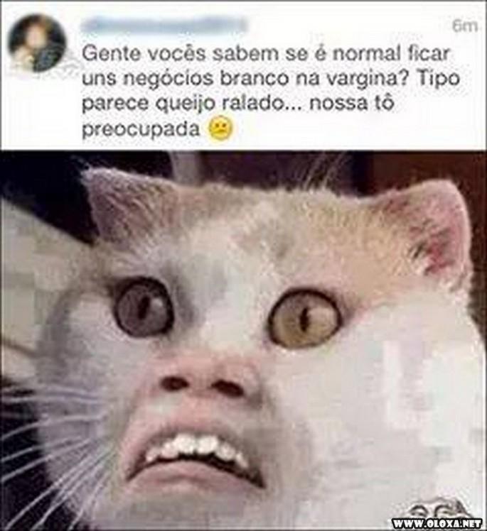 as melhores e piores perolas da internet 40