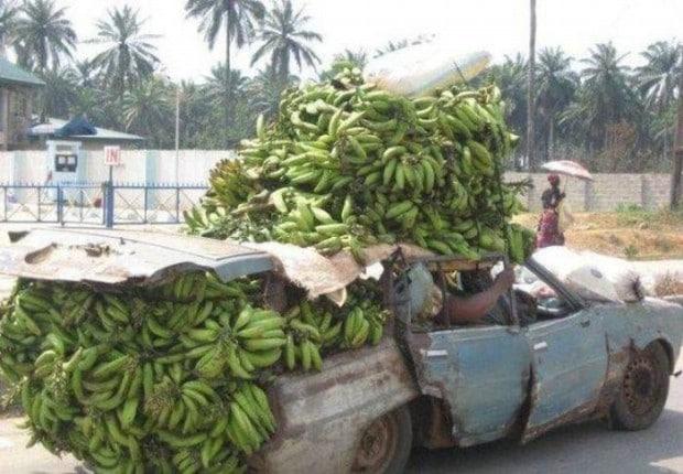 as melhores fotos da semana 113