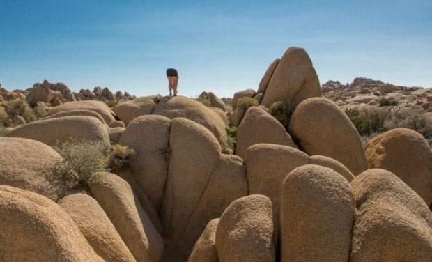 as melhores fotos da semana 12