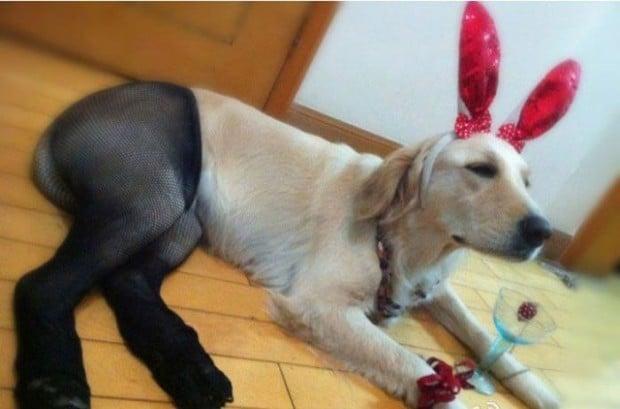 as melhores fotos da semana 13