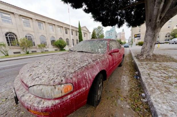 as melhores fotos da semana 14