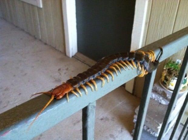 as melhores fotos da semana 20