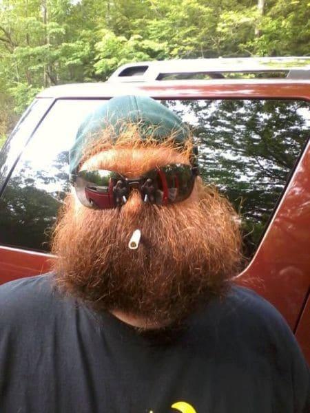 as melhores fotos da semana 241