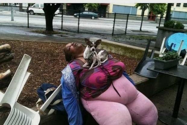 as melhores fotos da semana 6