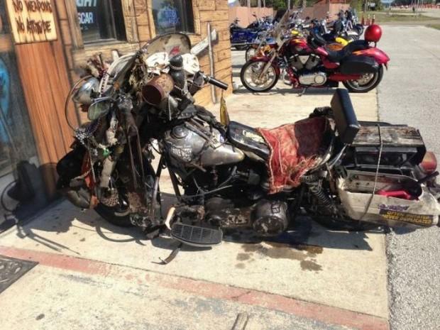 as melhores fotos da semana 82