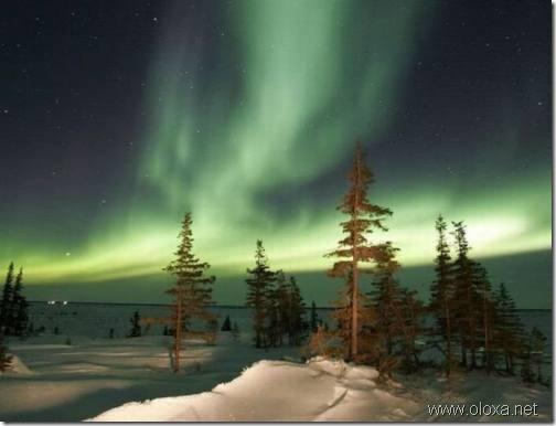 aurora-north-pole-21