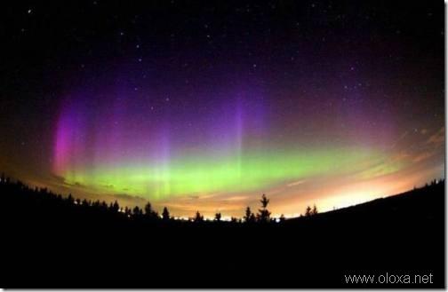 aurora-north-pole-31