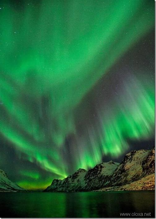 aurora-north-pole-33