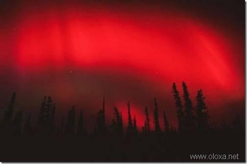 aurora-north-pole-36