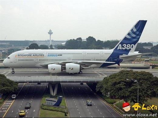 avioes um prazer em voar (24)