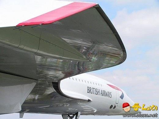 avioes um prazer em voar (3)