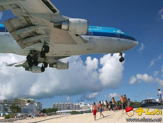 avioes um prazer em voar (44)