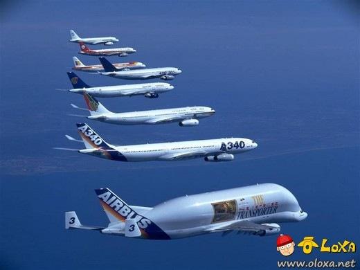 avioes um prazer em voar