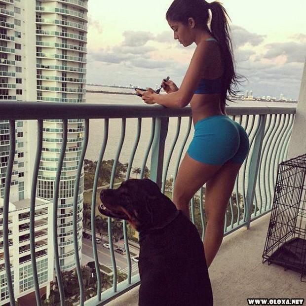 belos motivos para voce ir pra academia 251