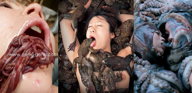 Nem Freud explica. Nem o Google traduz.