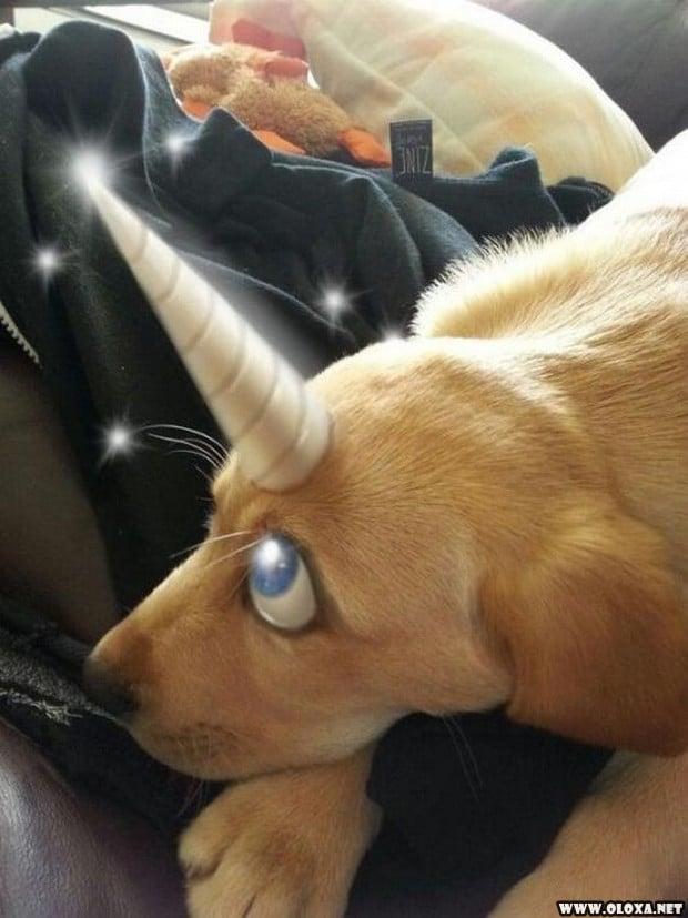 Quando o Tédio Bate e o Photoshop Vira Brinquedo de Adulto Desocupado 16 brincando de photoshop 3