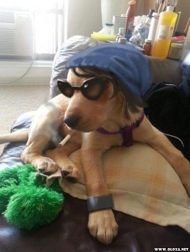 Quando o Tédio Bate e o Photoshop Vira Brinquedo de Adulto Desocupado 17 brincando de photoshop 4