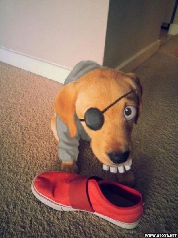 Quando o Tédio Bate e o Photoshop Vira Brinquedo de Adulto Desocupado 18 brincando de photoshop 5