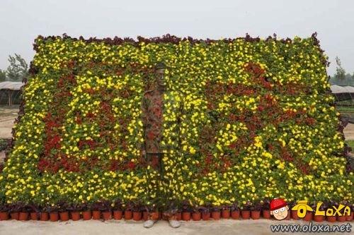 camouflage-art-liu-bolin-0