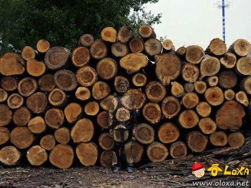 camouflage-art-liu-bolin-6