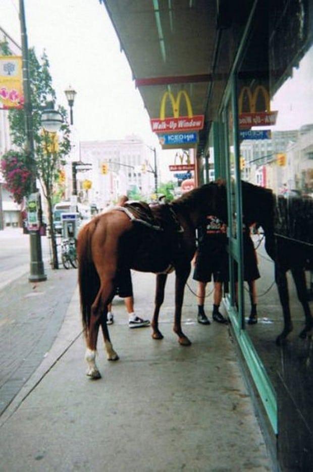 coisas que voce so ve no mac donalds 8