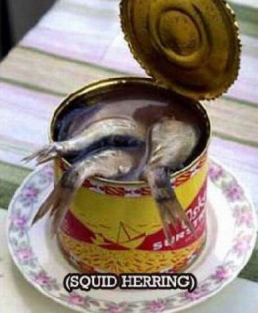 comidas enlatadas e estranhas (6)