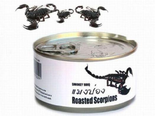 comidas enlatadas e estranhas (8)