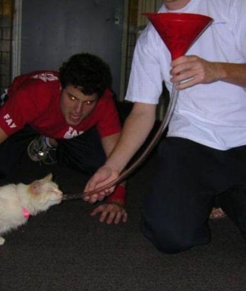 consequencias da fesa duro do fim de semana 24