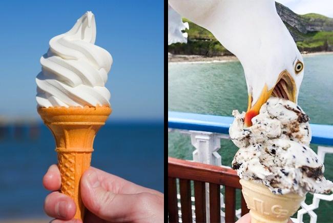 Veja algumas pessoas tentando tirar fotos famosas 23 curiosidades curiosas fotos engracadas 10