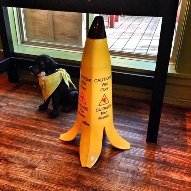 curiosidades curiosas ideias4