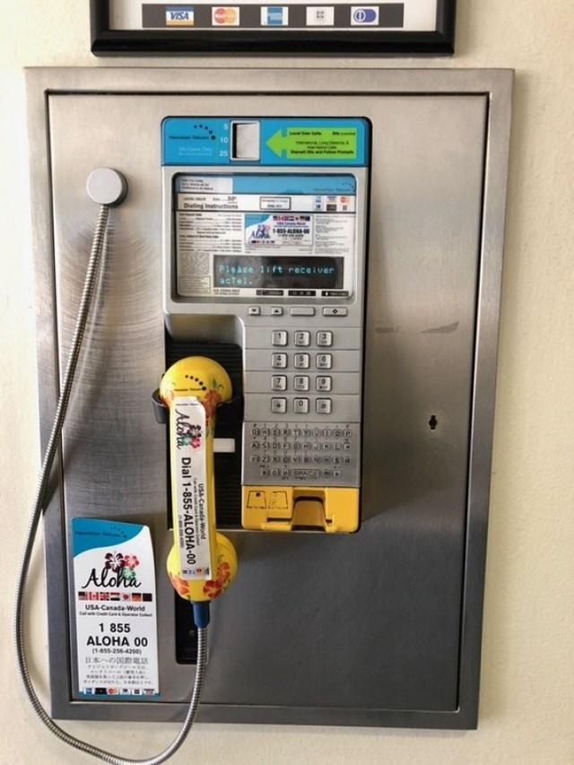 curiosidades curiosas ideias5