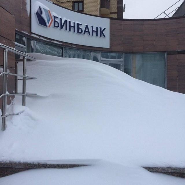 curiosidades curiosas natureza2