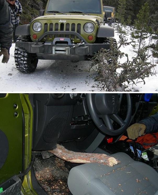 curiosidades curiosas sorte10