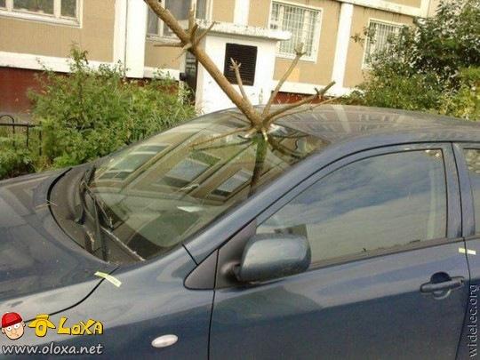  e estranhos acidentes de carro (14)