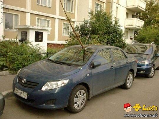 curiosos e estranhos acidentes de carro (23)