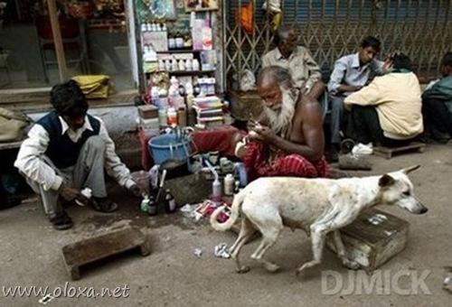 dentista asiatico (28)