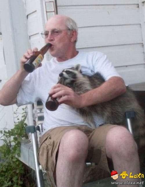 drunk-animals-23