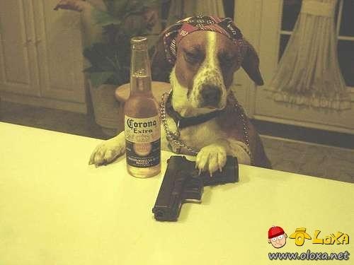 drunk-animals-4